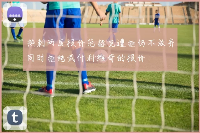 热刺两度报价范赫克遭拒仍不放弃同时拒绝武什科维奇的报价