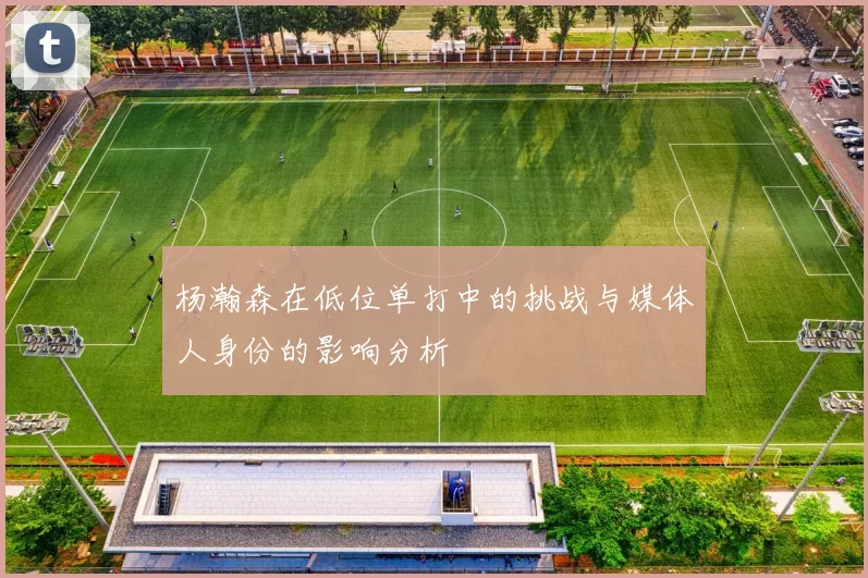 杨瀚森在低位单打中的挑战与媒体人身份的影响分析